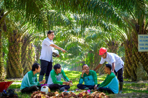 Aktivitas pekerja di lingkungan operasional PalmCo yang menyerap puluhan ribu tenaga kerja sebagai bagian dari penguatan industri sawit nasional dan hilirisasi berkelanjutan.