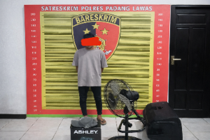 Satreskrim Polres Padang Lawas Tangkap Pelaku Pencurian Perabot Rumah, Sejumlah Barang Bukti Diamankan